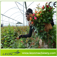 Invernadero de plástico flim de bajo costo serie Leon para vegetales y flores